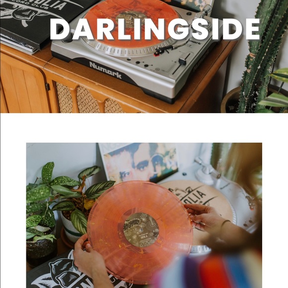 New in plastic Darlingside Fish Pond Fish Vinyl - Picture 1 of 9